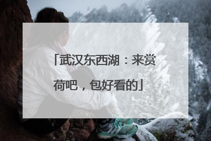 武汉东西湖：来赏荷吧，包好看的