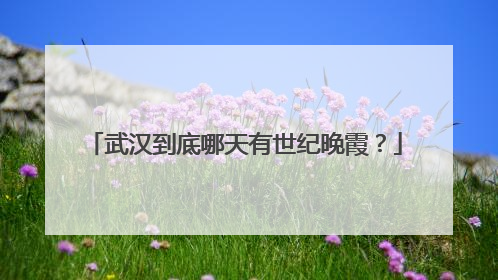 武汉到底哪天有世纪晚霞？