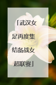 武汉女足再度集结备战女超联赛