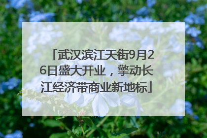 武汉滨江天街9月26日盛大开业，擎动长江经济带商业新地标
