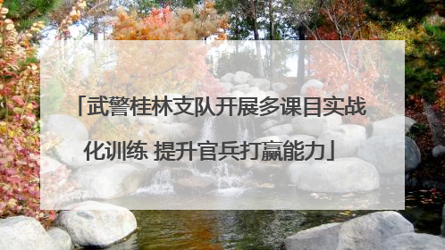 武警桂林支队开展多课目实战化训练 提升官兵打赢能力