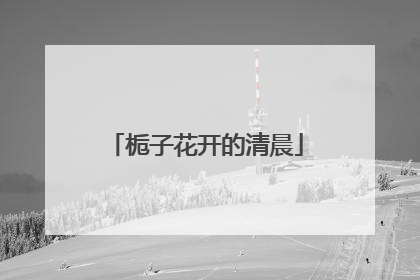 栀子花开的清晨