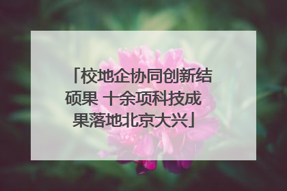 校地企协同创新结硕果 十余项科技成果落地北京大兴