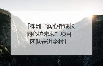 株洲“润心伴成长·同心护未来”项目团队走进乡村