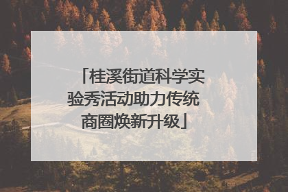 桂溪街道科学实验秀活动助力传统商圈焕新升级