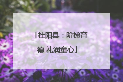 桂阳县：阶梯育德 礼润童心
