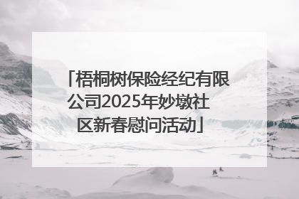 梧桐树保险经纪有限公司2025年妙墩社区新春慰问活动
