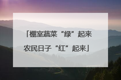棚室蔬菜“绿”起来 农民日子“红”起来