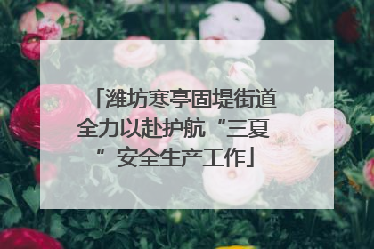 潍坊寒亭固堤街道全力以赴护航“三夏”安全生产工作