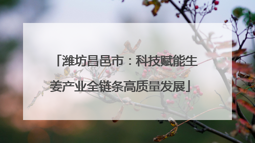 潍坊昌邑市：科技赋能生姜产业全链条高质量发展