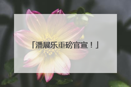 潘展乐重磅官宣！