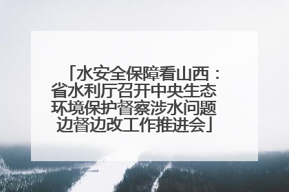 水安全保障看山西：省水利厅召开中央生态环境保护督察涉水问题边督边改工作推进会