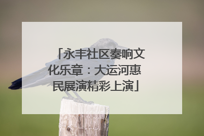 永丰社区奏响文化乐章：大运河惠民展演精彩上演