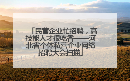 民营企业忙招聘，高技能人才很吃香——河北省个体私营企业网络招聘大会扫描