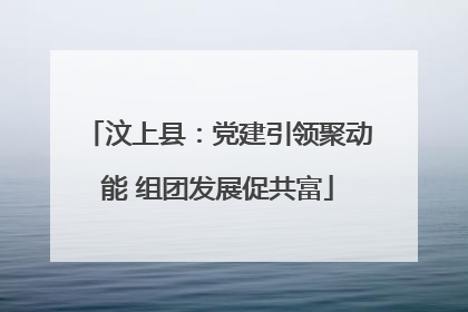 汶上县：党建引领聚动能 组团发展促共富
