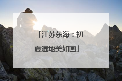 江苏东海：初夏湿地美如画