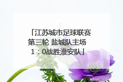 江苏城市足球联赛第三轮 盐城队主场1：0战胜淮安队
