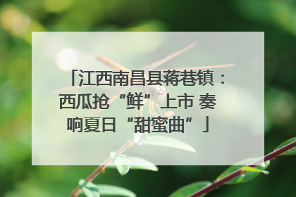 江西南昌县蒋巷镇：西瓜抢“鲜”上市 奏响夏日“甜蜜曲”