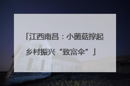 江西南昌：小菌菇撑起乡村振兴“致富伞”