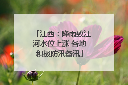 江西：降雨致江河水位上涨 各地积极防汛备汛