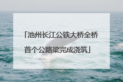 池州长江公铁大桥全桥首个公路梁完成浇筑