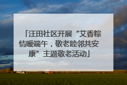 汪田社区开展“艾香粽情暖端午，敬老睦邻共安康”主题敬老活动