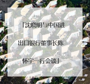 沈晓明与中国进出口银行董事长陈怀宇一行会谈