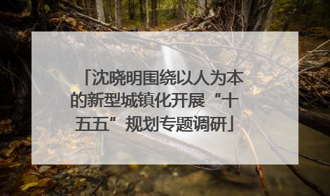 沈晓明围绕以人为本的新型城镇化开展“十五五”规划专题调研