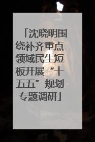 沈晓明围绕补齐重点领域民生短板开展“十五五”规划专题调研