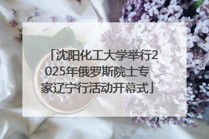 沈阳化工大学举行2025年俄罗斯院士专家辽宁行活动开幕式
