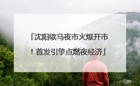 沈阳歇马夜市火爆开市！首发引擎点燃夜经济