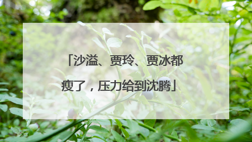 沙溢、贾玲、贾冰都瘦了，压力给到沈腾