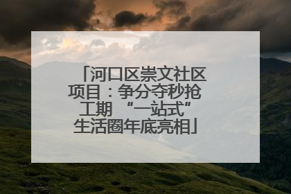 河口区崇文社区项目：争分夺秒抢工期 “一站式”生活圈年底亮相