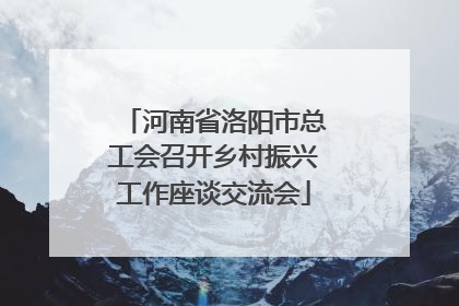 河南省洛阳市总工会召开乡村振兴工作座谈交流会
