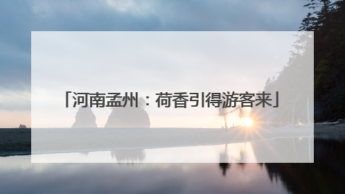 河南孟州：荷香引得游客来