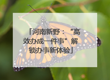 河南新野：“高效办成一件事”解锁办事新体验