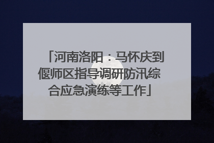 河南洛阳：马怀庆到偃师区指导调研防汛综合应急演练等工作