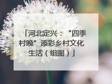 河北定兴：“四季村晚”添彩乡村文化生活（组图）