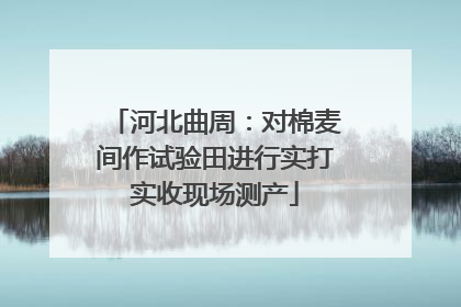 河北曲周：对棉麦间作试验田进行实打实收现场测产