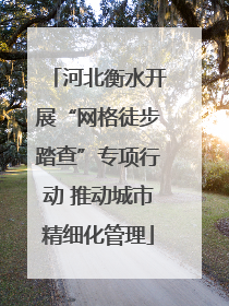 河北衡水开展“网格徒步踏查”专项行动 推动城市精细化管理