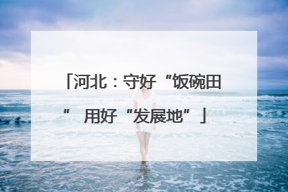 河北：守好“饭碗田” 用好“发展地”