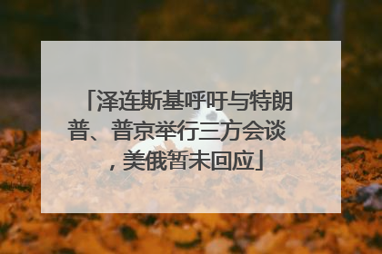 泽连斯基呼吁与特朗普、普京举行三方会谈，美俄暂未回应
