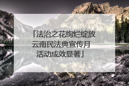 法治之花绚烂绽放 云南民法典宣传月活动成效显著