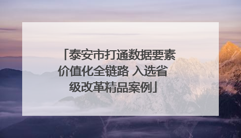 泰安市打通数据要素价值化全链路 入选省级改革精品案例