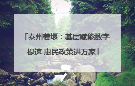 泰州姜堰：基层赋能数字提速 惠民政策进万家
