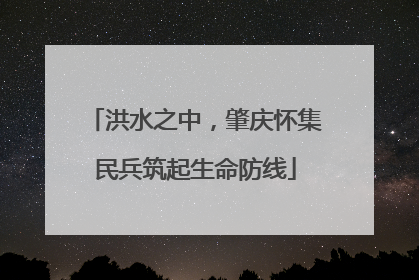 洪水之中，肇庆怀集民兵筑起生命防线