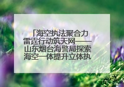 海空执法聚合力 雷霆行动筑天网——山东烟台海警局探索海空一体提升立体执法效能纪实