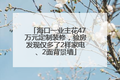 海口一业主花47万元定制装修，验房发现仅多了2样家电、2面背景墙