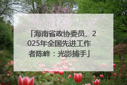 海南省政协委员、2025年全国先进工作者陈峰：光影捕手