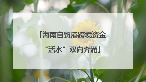海南自贸港跨境资金“活水”双向奔涌